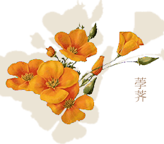 荸薺